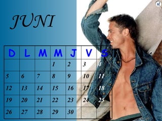JUNI 30 29 28 27 26 25 24 23 22 21 20 19 18 17 16 15 14 13 12 11 10 9 8 7 6 5 4 3 2 1 S V J M M L D 