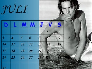 JULI 30 29 28 27 26 25 24 31 23 22 21 20 19 18 17 16 15 14 13 12 11 10 9 8 7 6 5 4 3 2 1 S V J M M L D 