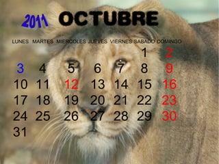 OCTUBRE
LUNES MARTES MIERCOLES JUEVES VIERNES SABADO DOMINGO
1 2
3 4 5 6 7 8 9
10 11 12 13 14 15 16
17 18 19 20 21 22 23
24 25 26 27 28 29 30
31
 