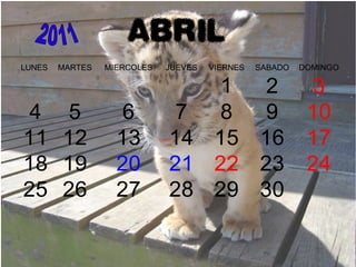 ABRIL
LUNES MARTES MIERCOLES JUEVES VIERNES SABADO DOMINGO
1 2 3
4 5 6 7 8 9 10
11 12 13 14 15 16 17
18 19 20 21 22 23 24
25 26 27 28 29 30
 