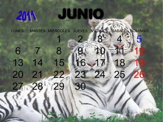 JUNIO
LUNES MARTES MIERCOLES JUEVES VIERNES SABADO DOMINGO
1 2 3 4 5
6 7 8 9 10 11 12
13 14 15 16 17 18 19
20 21 22 23 24 25 26
27 28 29 30
 