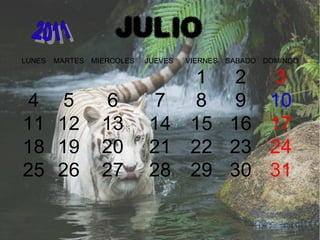JULIO
LUNES MARTES MIERCOLES JUEVES VIERNES SABADO DOMINGO
1 2 3
4 5 6 7 8 9 10
11 12 13 14 15 16 17
18 19 20 21 22 23 24
25 26 27 28 29 30 31
 