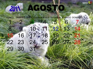 AGOSTO
LUNES MARTES MIERCOLES JUEVES VIERNES SABADO DOMINGO
1 2 3 4 5 6 7
8 9 10 11 12 13 14
15 16 17 18 19 20 21
22 23 24 25 26 27 28
29 30 31
 