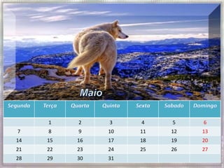 1    2    3    4    5    6
7    8    9    10   11   12   13
14   15   16   17   18   19   20
21   22   23   24   25   26   27
28   29   30   31
 