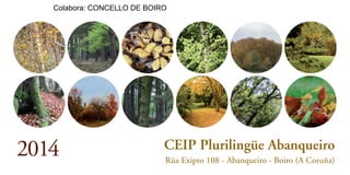Colabora: CONCELLO DE BOIRO

2014

CEIP Plurilingüe Abanqueiro
Rúa Exipto 108 - Abanqueiro - Boiro (A Coruña)

 