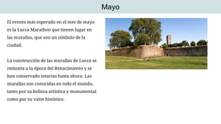 Mayo
El evento más esperado en el mes de mayo
es la Lucca Marathon que tienen lugar en
las murallas, que son un símbolo de la
ciudad.
La construcción de las murallas de Lucca se
remonta a la época del Renacimiento y se
han conservado intactas hasta ahora. Las
murallas son conocidas en todo el mundo,
tanto por su belleza artística y monumental
como por su valor histórico.
 