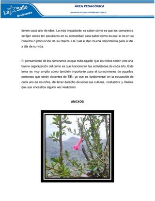 tienen cada uno de ellos. Lo más impactante es saber cómo es que los comuneros
se fijan cosas tan peculiares en su comunidad para saber cómo es que le ira en su
cosecha o producción de su chacra a la cual le dan mucha importancia para el día
a día de su vida.
El pensamiento de los comuneros es que todo aquello que les rodea tienen vida,una
buena organización del cómo es que funcionaran las actividades de cada año. Este
tema es muy amplio como también importante para el conocimiento de aquellas
personas que serán docentes de EIB, ya que es fundamental en la educación de
cada uno de los niños, del tener derecho de saber sus culturas, costumbre y rituales
que sus ancestros alguna vez realizaron.
ANEXOS
 