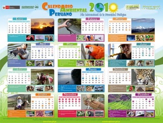 Calendario ambiental peruano 2010