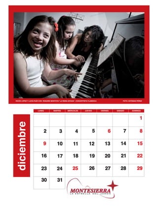 Calendario cedown 2013