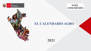 2021
EL CALENDARIO AGRO
UGEL
CONCEPCIÓN
 