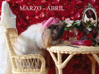 MARZO - ABRIL