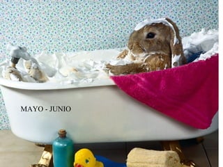 MAYO - JUNIO MAYO - JUNIO