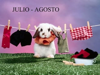 JULIO - AGOSTO