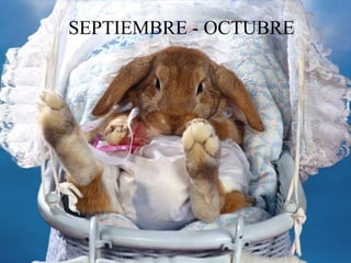 SEPTIEMBRE - OCTUBRE SEPTIEMBRE - OCTUBRE