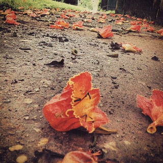 Calendário Criatus Design