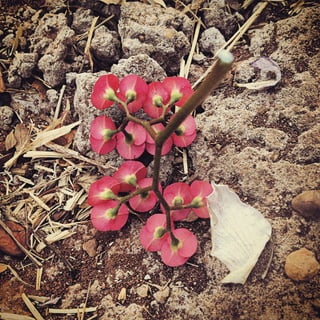 Calendário Criatus Design