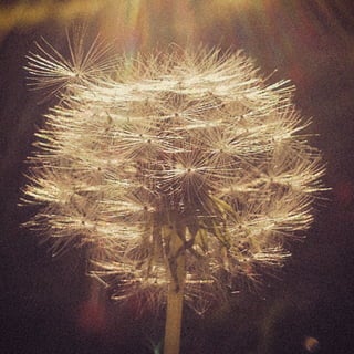 Calendário Criatus Design