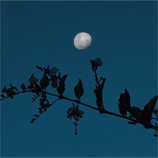 Calendário Criatus Design