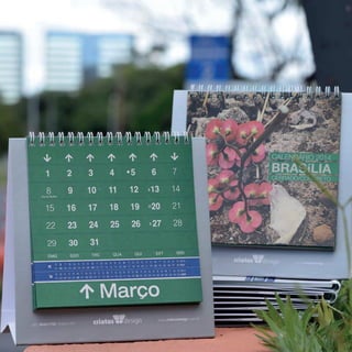 Calendário Criatus Design