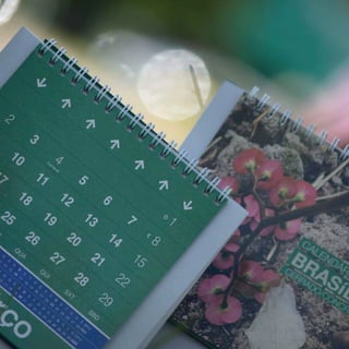 Calendário Criatus Design