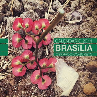 Calendário Criatus Design