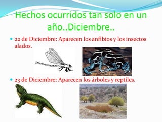 Hechos ocurridos tan solo en un año..Diciembre..22 de Diciembre: Aparecen los anfibios y los insectos alados.23 de Diciembre: Aparecen los árboles y reptiles.