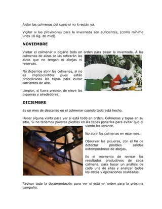 Aislar las colmenas del suelo si no lo están ya.
Vigilar si las provisiones para la invernada son suficientes, (como mínimo
unos 10 Kg. de miel).
NOVIEMBRE
Visitar el colmenar y dejarlo todo en orden para pasar la invernada. A las
colmenas de alzas se las retirarán las
alzas que no tengan ni abejas ni
reservas.
No debemos abrir las colmenas, si no
es imprescindible pues están
propolizadas las tapas para evitar
corrientes de aire.
Limpiar, si fuera preciso, de nieve las
piqueras y alrededores.
DICIEMBRE
Es un mes de descanso en el colmenar cuando todo está hecho.
Hacer alguna visita para ver si está todo en orden. Colmenas y tapas en su
sitio. Si no tenemos puestas piedras en las tapas ponerlas para evitar que el
viento las levante.
No abrir las colmenas en este mes.
Observar las piqueras, con el fin de
detectar posibles salidas
extemporáneas de abejas.
Es el momento de revisar los
resultados productivos de cada
colmena, para hacer un análisis de
cada una de ellas y analizar todos
los datos y operaciones realizadas.
Revisar toda la documentación para ver si está en orden para la próxima
campaña.
 