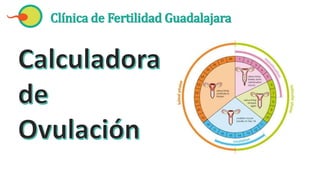 Clínica de Fertilidad Guadalajara
 
