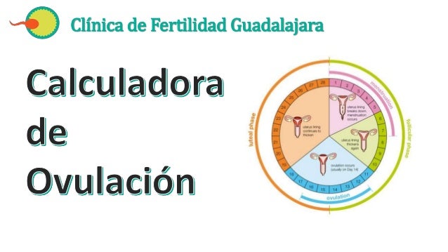 Calendario De Ovulación