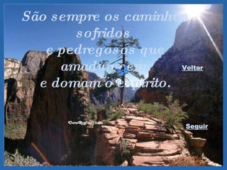 São sempre os caminhos sofridos  e pedregosos que amadurecem  e domam o espírito. Voltar Seguir 