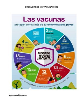 CALENDARIO DE VACUNACIÓN
Vacunas del Esquema
 