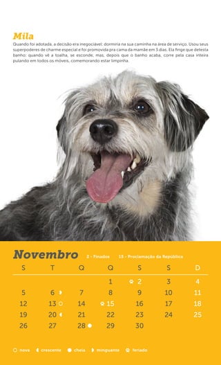 Mila
Quando foi adotada, a decisão era inegociável: dormiria na sua caminha na área de serviço. Usou seus
superpoderes de charme especial e foi promovida pra cama da mamãe em 3 dias. Ela ﬁnge que detesta
banho: quando vê a toalha, se esconde, mas, depois que o banho acaba, corre pela casa inteira
pulando em todos os móveis, comemorando estar limpinha.




Novembro                               2 - Finados    15 - Proclamação da República

    S              T             Q               Q             S              S              D

                                                 1             2              3              4
    5              6              7              8             9             10             11
   12             13             14             15            16             17             18
   19             20             21             22            23             24             25
   26             27             28             29            30


   nova       crescente        cheia       minguante         feriado
 