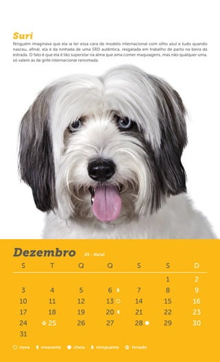 Suri
Ninguém imaginava que ela ia ter essa cara de modelo internacional com olho azul e tudo quando
nasceu, aﬁnal, ela é da ninhada de uma SRD autêntica, resgatada em trabalho de parto na beira da
estrada. O fato é que ela é tão superstar na alma que ama comer maquiagens, mas não qualquer uma,
só valem as de grife internacional renomada.




Dezembro                             25 - Natal

    S             T             Q                 Q          S              S             D

                                                                            1             2
    3             4              5                6           7             8             9
   10            11             12                13         14            15            16
   17            18             19                20         21            22            23
   24            25             26                27        28             29            30
   31
   nova      crescente        cheia       minguante        feriado
 