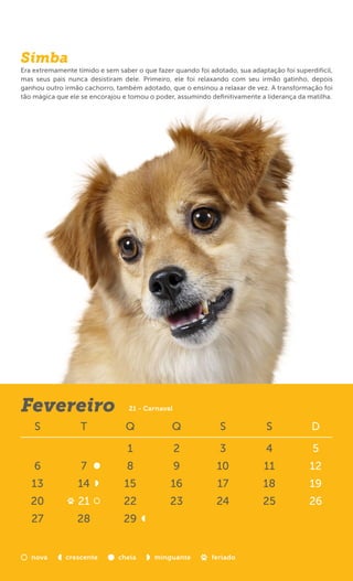 Simba
Era extremamente tímido e sem saber o que fazer quando foi adotado, sua adaptação foi superdifícil,
mas seus pais nunca desistiram dele. Primeiro, ele foi relaxando com seu irmão gatinho, depois
ganhou outro irmão cachorro, também adotado, que o ensinou a relaxar de vez. A transformação foi
tão mágica que ele se encorajou e tomou o poder, assumindo deﬁnitivamente a liderança da matilha.




Fevereiro                         21 - Carnaval

    S              T             Q              Q              S             S              D

                                 1                2            3             4              5
    6              7             8                9           10             11            12
   13             14            15             16             17            18             19
   20             21            22             23             24            25             26
   27            28             29


   nova       crescente       cheia       minguante         feriado
 