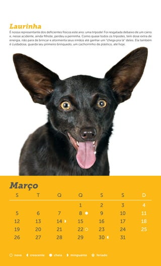 Laurinha
É nossa representante dos deﬁcientes físicos este ano: uma trípode! Foi resgatada debaixo de um carro
e, nesse acidente, ainda ﬁlhote, perdeu a perninha. Como quase todos os trípodes, tem dose extra de
energia, não para de brincar e atormenta seus irmãos até ganhar um “chega pra lá” deles. Ela também
é cuidadosa, guarda seu primeiro brinquedo, um cachorrinho de plástico, até hoje.




Março
    S              T             Q              Q               S              S              D

                                                 1              2              3              4
    5              6              7              8              9             10             11
   12             13             14             15             16             17             18
   19             20             21             22             23             24             25
   26             27             28             29             30             31


   nova       crescente        cheia       minguante         feriado
 