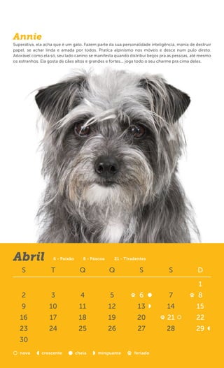 Annie
Superativa, ela acha que é um gato. Fazem parte da sua personalidade inteligência, mania de destruir
papel, se achar linda e amada por todos. Pratica alpinismo nos móveis e desce num pulo direto.
Adorável como ela só, seu lado canino se manifesta quando distribui beijos pra as pessoas, até mesmo
os estranhos. Ela gosta de cães altos e grandes e fortes... joga todo o seu charme pra cima deles.




Abril               6 - Paixão      8 - Páscoa       21 - Tiradentes

    S              T               Q             Q               S            S              D

                                                                                             1
    2              3               4             5              6             7              8
    9             10              11             12             13           14             15
   16             17              18             19            20            21             22
   23             24              25             26             27           28             29
   30
   nova       crescente          cheia    minguante           feriado
 