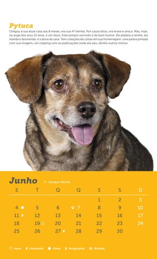 Pytuca
Chegou à sua atual casa aos 8 meses, era sua 4ª família. Por causa disso, era brava e arisca. Mas, hoje,
no auge dos seus 12 anos, é um doce. Está sempre sorrindo e de bom humor. De plebeia a rainha, ela
manda e desmanda, é a dona da casa. Tem coleções de coisas em sua homenagem: uma pedra pintada
com sua imagem, um clipping com as publicações onde ela saiu, dentre outros mimos.




Junho                      7 - Corpus Christi

    S              T               Q              Q               S              S              D

                                                                  1              2               3
    4               5              6              7               8              9              10
   11              12             13             14              15             16              17
   18              19             20             21              22             23              24
   25             26              27             28              29             30


   nova        crescente        cheia       minguante          feriado
 