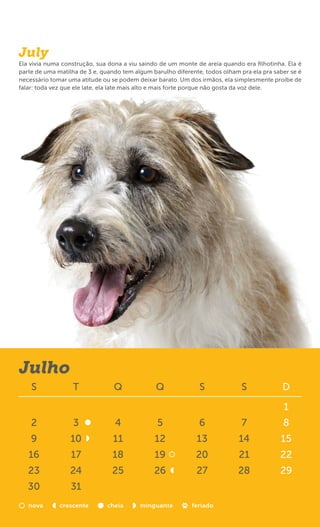 July
Ela vivia numa construção, sua dona a viu saindo de um monte de areia quando era ﬁlhotinha. Ela é
parte de uma matilha de 3 e, quando tem algum barulho diferente, todos olham pra ela pra saber se é
necessário tomar uma atitude ou se podem deixar barato. Um dos irmãos, ela simplesmente proíbe de
falar: toda vez que ele late, ela late mais alto e mais forte porque não gosta da voz dele.




Julho
    S              T             Q              Q              S             S              D

                                                                                            1
    2              3             4              5              6              7             8
    9             10             11            12             13             14            15
   16             17            18             19             20             21            22
   23             24            25             26             27            28             29
   30             31
   nova       crescente       cheia       minguante         feriado
 