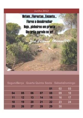 Calendario ecologico 2012