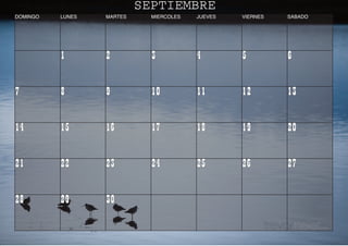 Calendario.E$S Calendario C
