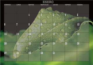 Calendario.E$S Calendario C