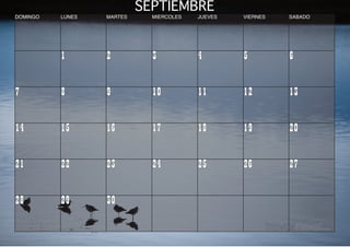 Calendario.E$S Calendario C