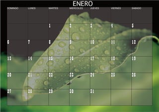Calendario.E$S Calendario C