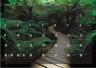 Calendario.E$S Calendario C