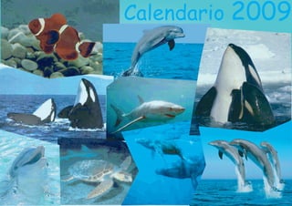 Calendario 2009
 