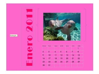 Calendario jisella
