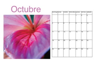 Calendario Layout 1