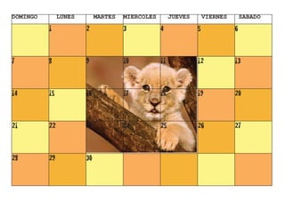 Calendario Layout 1