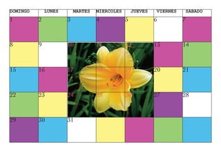Calendario Layout 1