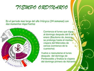 Click here to download this powerpoint template : Green Floral Free Powerpoint Template
For more : Powerpoint Template Presentations
Page 12
TIEMPO ORDINARIO
Es el periodo mas largo del año litúrgico (34 semanas) con
dos momentos importantes
Comienza el lunes que sigue
al domingo después del 6 de
enero (Bautismo de Jesús)y
se prolonga hasta el martes
víspera del Miércoles de
ceniza (comienzo de la
cuaresma)
Vuelve a reanudarse el lunes
después del domingo de
Pentecostés y finaliza la víspera
del domingo primero de Adviento
 